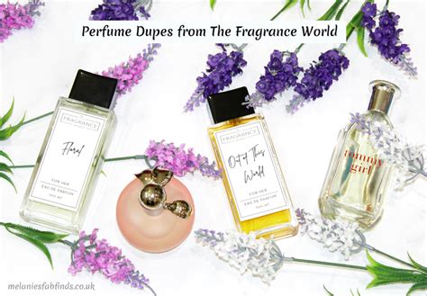 l.a.m.b perfume dupe|perfume dupes worth it.